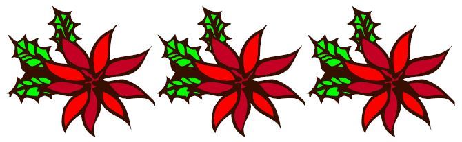 2018 Poinsettia Fundraiser