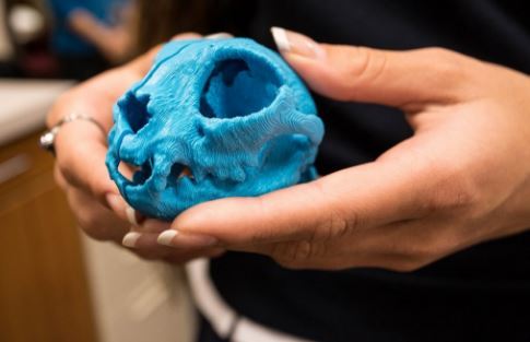 Students use 3D printer to help Tampa hospital